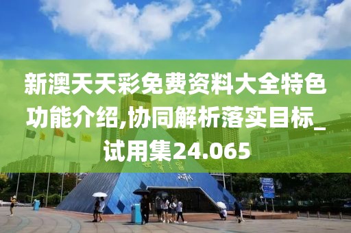 新澳天天彩免费资料大全特色功能介绍,协同解析落实目标_试用集24.065