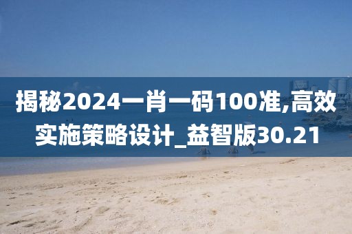 揭秘2024一肖一码100准,高效实施策略设计_益智版30.21