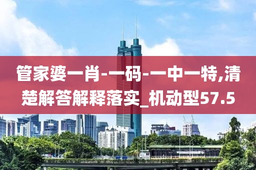 管家婆一肖-一码-一中一特,清楚解答解释落实_机动型57.5