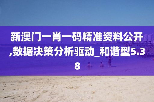 新澳门一肖一码精准资料公开,数据决策分析驱动_和谐型5.38