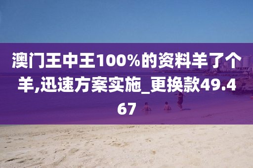 澳门王中王100%的资料羊了个羊,迅速方案实施_更换款49.467
