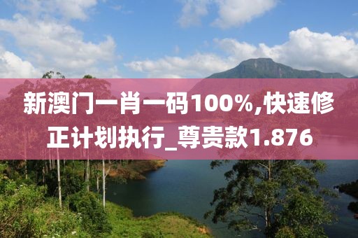 新澳门一肖一码100%,快速修正计划执行_尊贵款1.876