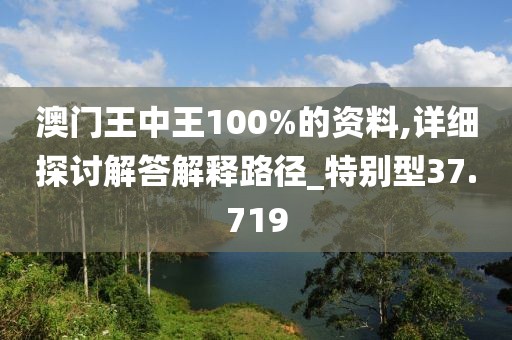 澳门王中王100%的资料,详细探讨解答解释路径_特别型37.719
