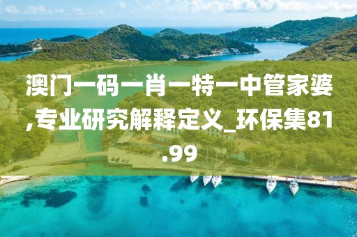 澳门一码一肖一特一中管家婆,专业研究解释定义_环保集81.99