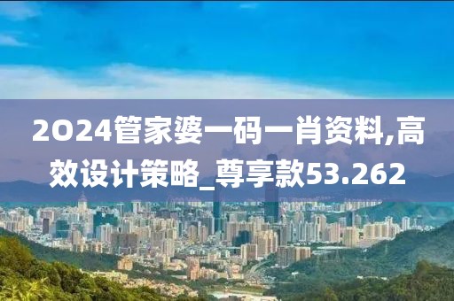 2O24管家婆一码一肖资料,高效设计策略_尊享款53.262