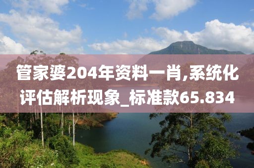 管家婆204年资料一肖,系统化评估解析现象_标准款65.834