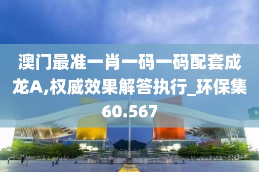 澳门最准一肖一码一码配套成龙A,权威效果解答执行_环保集60.567