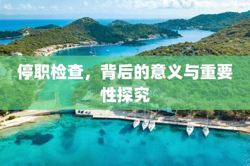 停职检查，背后的意义与重要性探究