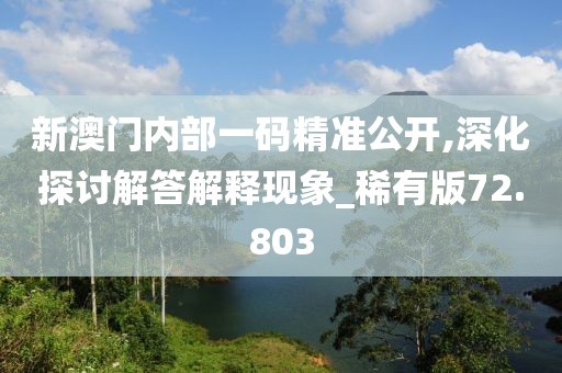 新澳门内部一码精准公开,深化探讨解答解释现象_稀有版72.803