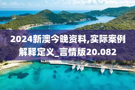 2024新澳今晚资料,实际案例解释定义_言情版20.082