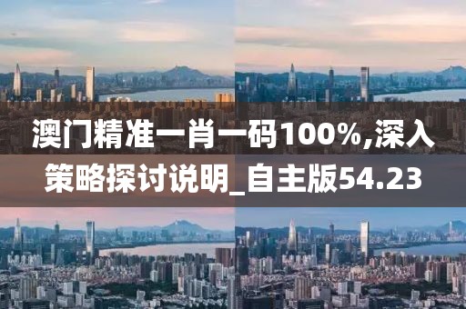 澳门精准一肖一码100%,深入策略探讨说明_自主版54.23