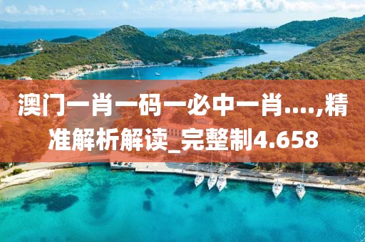 澳门一肖一码一必中一肖....,精准解析解读_完整制4.658