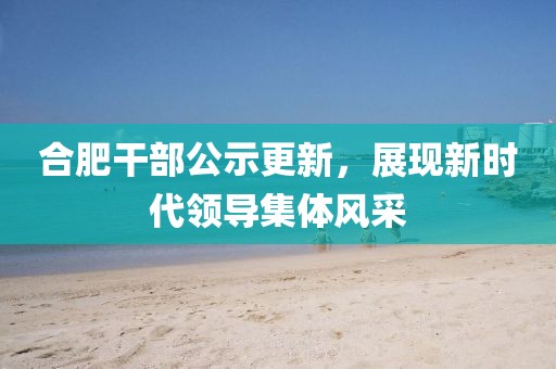 合肥干部公示更新，展现新时代领导集体风采