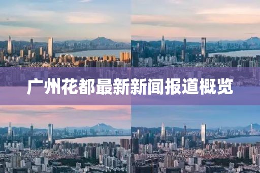 广州花都最新新闻报道概览