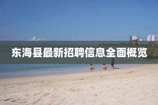 东海县最新招聘信息全面概览