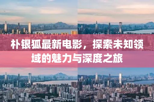 朴银狐最新电影，探索未知领域的魅力与深度之旅