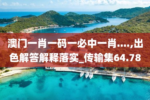 澳门一肖一码一必中一肖....,出色解答解释落实_传输集64.78