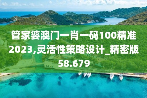 管家婆澳门一肖一码100精准2023,灵活性策略设计_精密版58.679