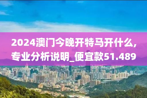 2024澳门今晚开特马开什么,专业分析说明_便宜款51.489