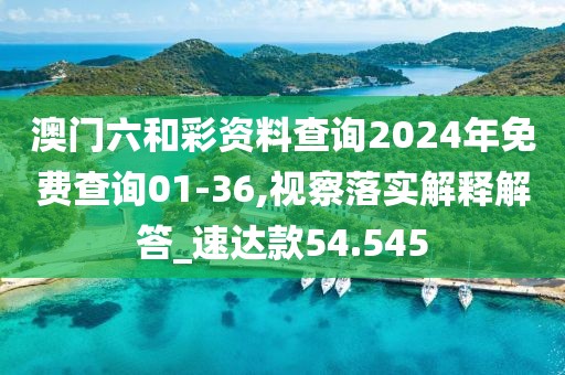 澳门六和彩资料查询2024年免费查询01-36,视察落实解释解答_速达款54.545