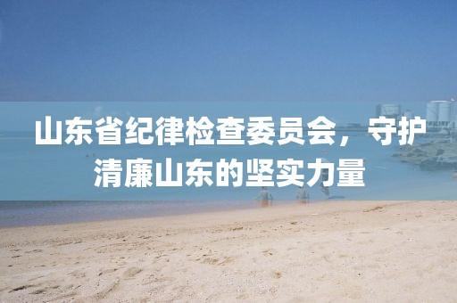 山东省纪律检查委员会，守护清廉山东的坚实力量