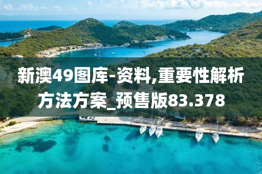 新澳49图库-资料,重要性解析方法方案_预售版83.378