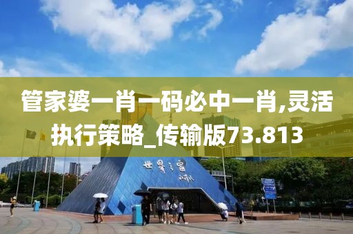 管家婆一肖一码必中一肖,灵活执行策略_传输版73.813