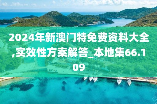 2024年新澳门特免费资料大全,实效性方案解答_本地集66.109