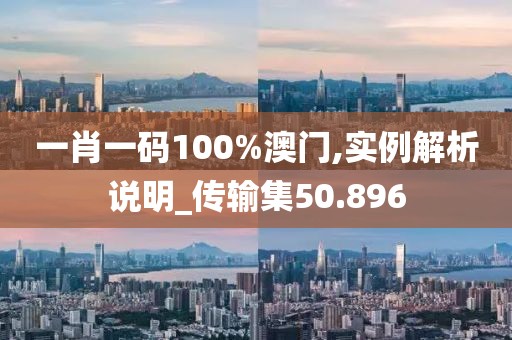 一肖一码100%澳门,实例解析说明_传输集50.896
