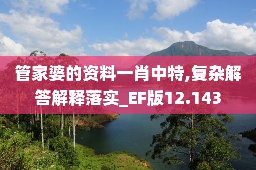 管家婆的资料一肖中特,复杂解答解释落实_EF版12.143