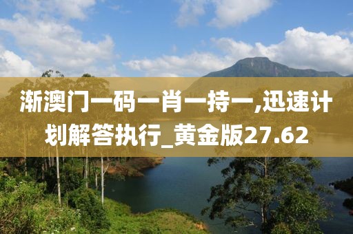 渐澳门一码一肖一持一,迅速计划解答执行_黄金版27.62