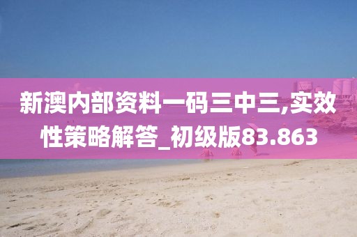 新澳内部资料一码三中三,实效性策略解答_初级版83.863