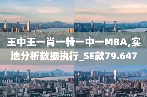 王中王一肖一特一中一MBA,实地分析数据执行_SE款79.647
