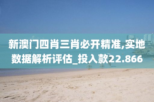 新澳门四肖三肖必开精准,实地数据解析评估_投入款22.866