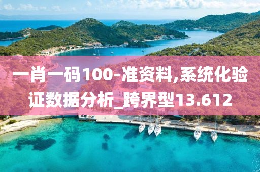 一肖一码100-准资料,系统化验证数据分析_跨界型13.612