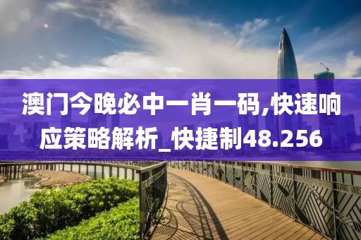 澳门今晚必中一肖一码,快速响应策略解析_快捷制48.256