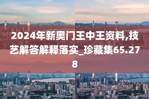 2024年新奥门王中王资料,技艺解答解释落实_珍藏集65.278
