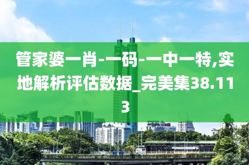 管家婆一肖-一码-一中一特,实地解析评估数据_完美集38.113