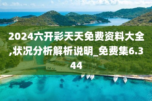 2024六开彩天天免费资料大全,状况分析解析说明_免费集6.344