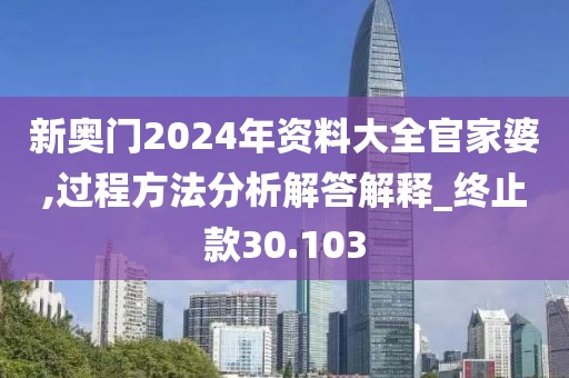 新奥门2024年资料大全官家婆,过程方法分析解答解释_终止款30.103