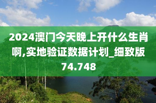 2024澳门今天晚上开什么生肖啊,实地验证数据计划_细致版74.748