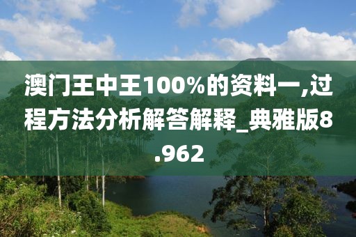 澳门王中王100%的资料一,过程方法分析解答解释_典雅版8.962