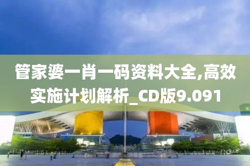 管家婆一肖一码资料大全,高效实施计划解析_CD版9.091