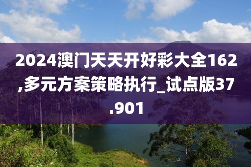 2024澳门天天开好彩大全162,多元方案策略执行_试点版37.901