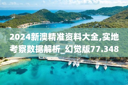 2024新澳精准资料大全,实地考察数据解析_幻觉版77.348