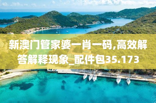 新澳门管家婆一肖一码,高效解答解释现象_配件包35.173