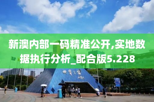 新澳内部一码精准公开,实地数据执行分析_配合版5.228