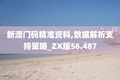 新澳门码精准资料,数据解析支持策略_ZX版56.487