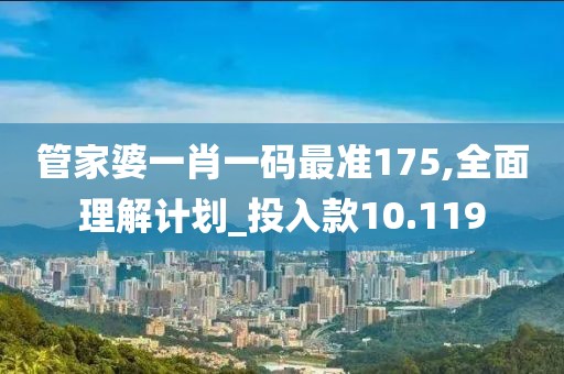 管家婆一肖一码最准175,全面理解计划_投入款10.119
