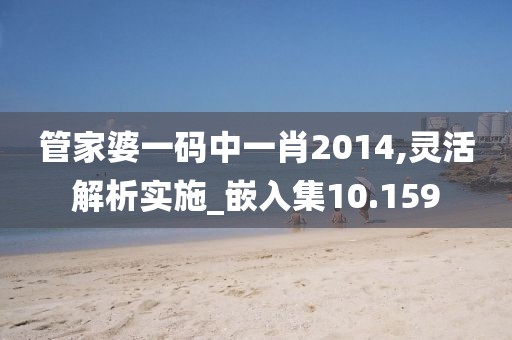 管家婆一码中一肖2014,灵活解析实施_嵌入集10.159